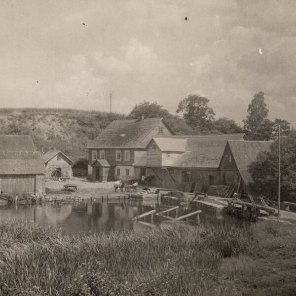 Podgurjes dzirnavas, Višķi 1927