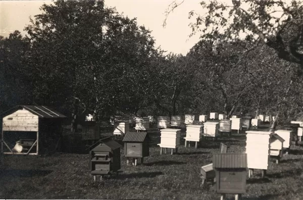 Višķu dārzkopības skolas bišu drava, 1932